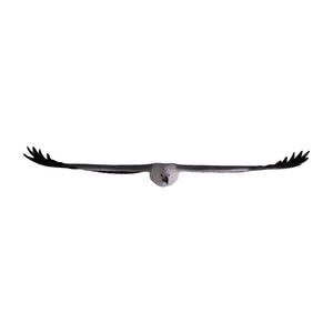 Decorative hanging sculpture of a white-breasted sea-eagle in flight, featuring a white head and dark grey wings with detailed feathers.