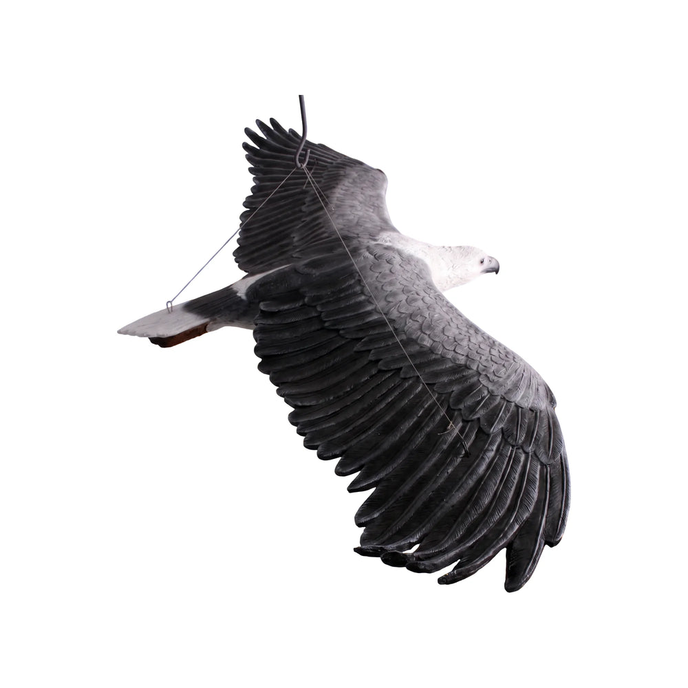 Decorative hanging sculpture of a white-breasted sea-eagle in flight, featuring a white head and dark grey wings with detailed feathers.