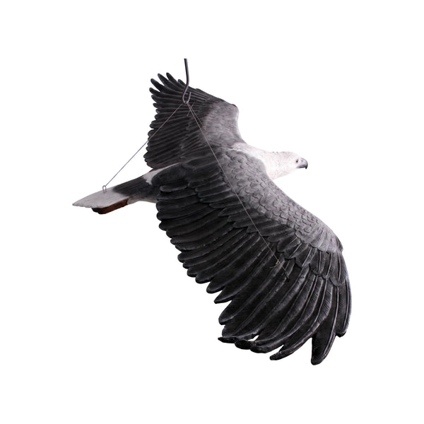 Decorative hanging sculpture of a white-breasted sea-eagle in flight, featuring a white head and dark grey wings with detailed feathers.