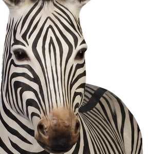 Decorative statue of a resting zebra featuring black and white stripes and tucked legs.