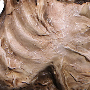 Decorative skeleton statue featuring mummified skin details and a tilted skull, emerging from a textured dirt base.