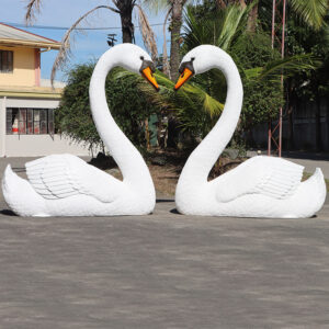Swan Amore