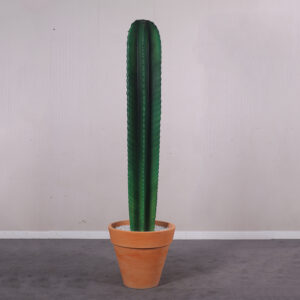 Cactus 6ft.