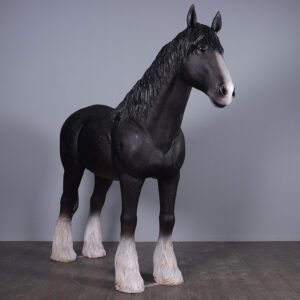Shire Horse (not in UK)